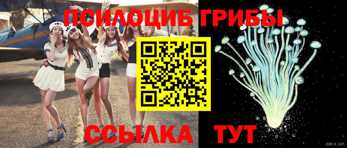 Галлюциногенные грибы MAGIC MUSHROOMS  Вход с VPN  Евпатория 