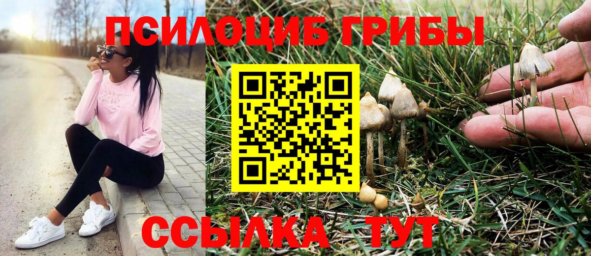 Псилоцибиновые грибы мицелий Евпатория